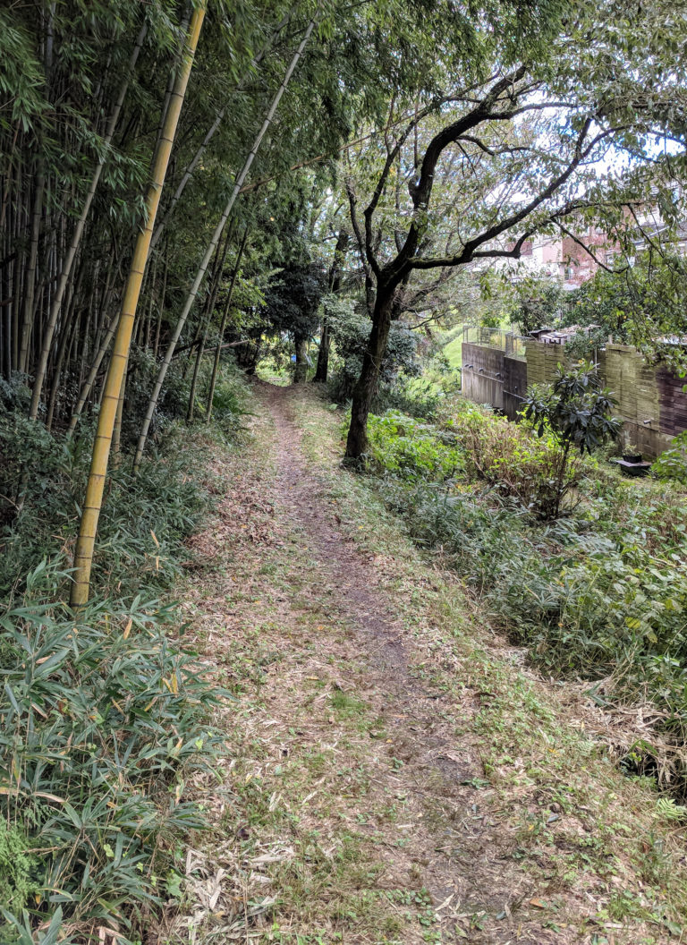 Nara Michi Trail