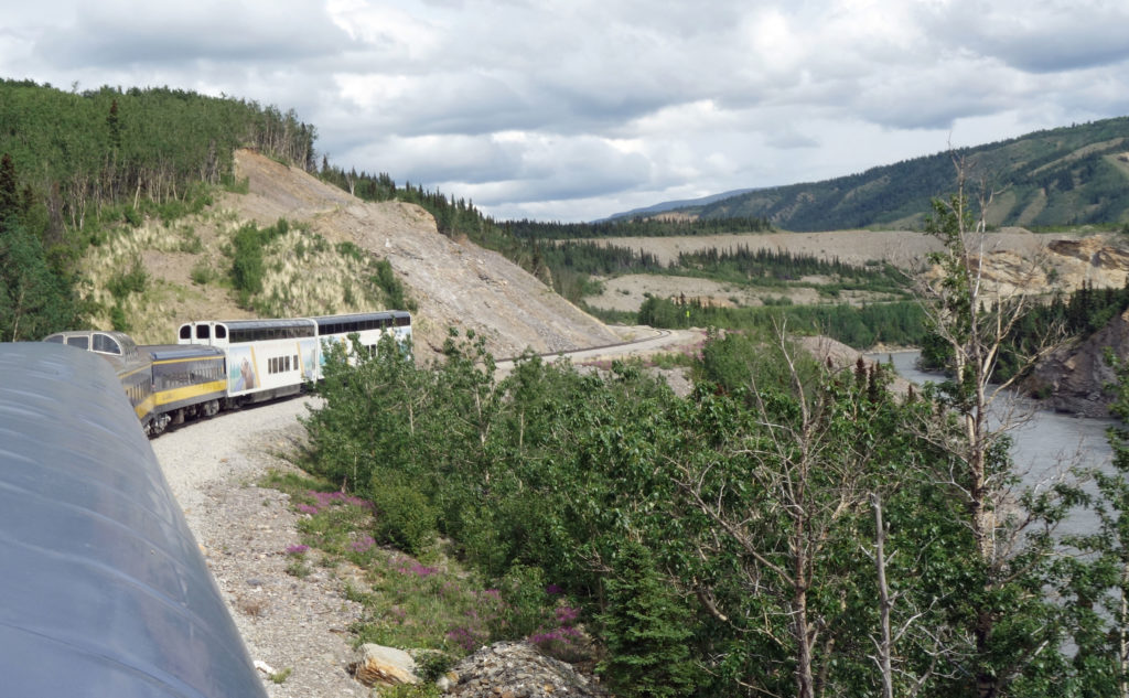 Train to Denali Park