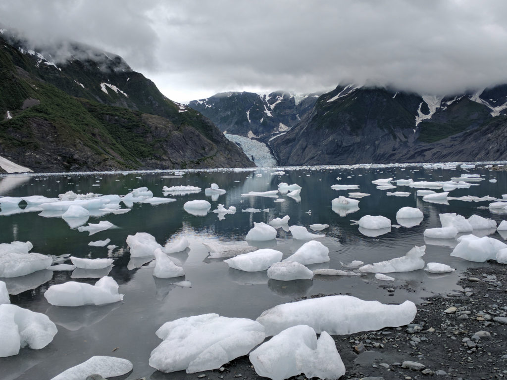 Glacier ice in bay