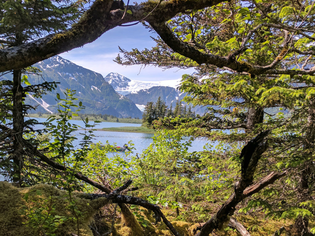 View from trail above Glacier Lodge